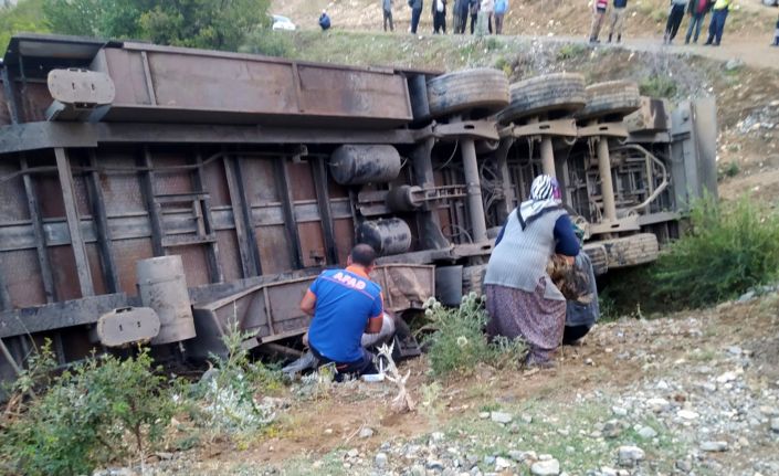 Tır şarampole devrildi: 3 kişi yaralandı, 160 küçükbaş hayvan telef oldu