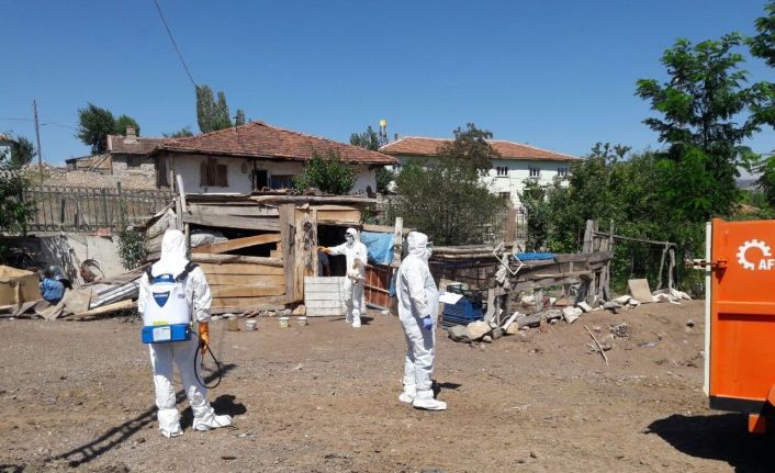 Tokat’ta kuş gribi şüphesi