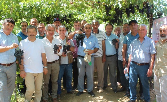 Türk mühendisleri geliştirdi, üretici çok beğendi