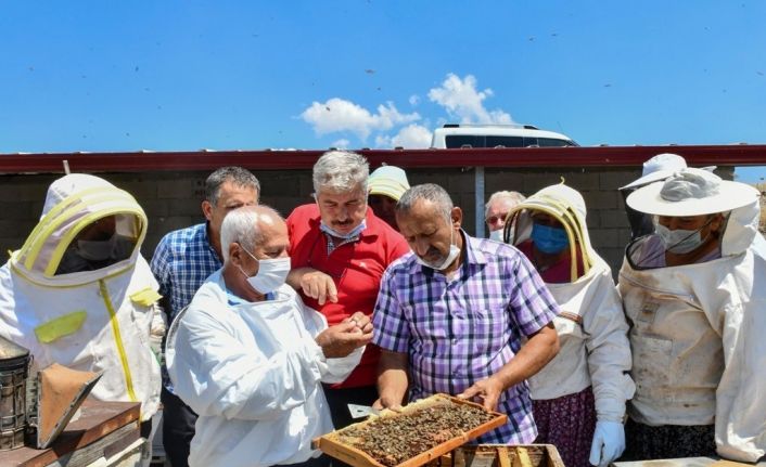 Türkiye Arı Yetiştiricileri Merkez Birliği Başkanı Şahin; “Eğitim olmazsa olmazımızdır”