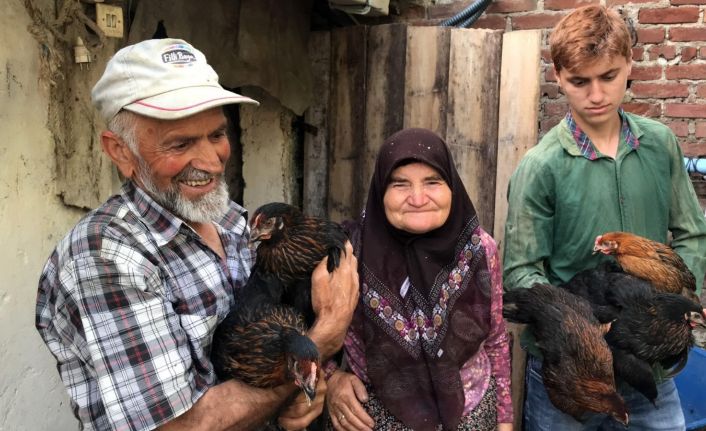 Türkiye’nin ilk yerli tavuk ırkı, çiftçilere teslim edilmeye başlandı