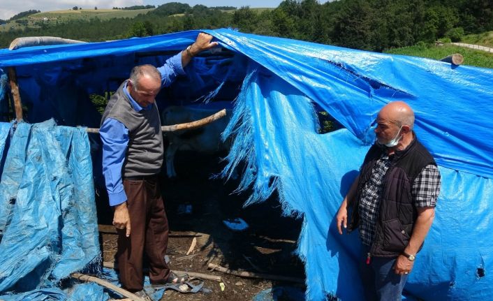 Üzerine yıldırım düşen 4 yaşındaki çocuk hayatını kaybetti