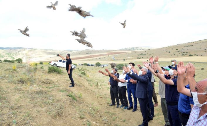 Vali Akın, doğaya kınalı keklik saldı