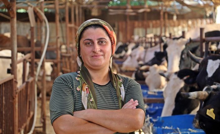 ‘Yapamazsın’ diyenlere inat 4 bilezikle hayvancılık işine girdi, milyonluk servet sahibi oldu