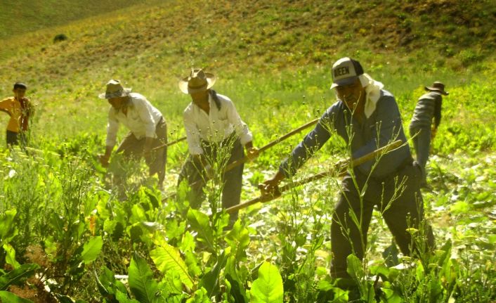 Yüksekovalı öğretmen köylerin güzelliğini fotoğrafladı