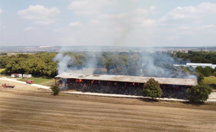 6 Bin 500 adet saman balyası küle döndü