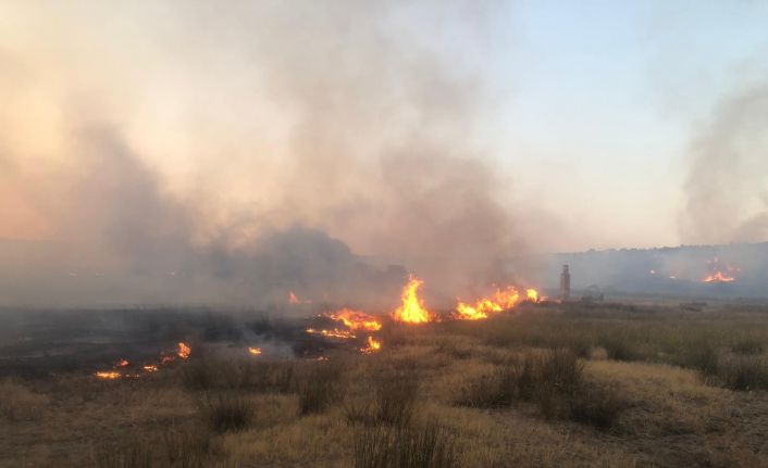 Ayvalık’ta aynı saatlerde çıkan iki ayrı maki yangını zamanında müdahaleler ile söndürüldü