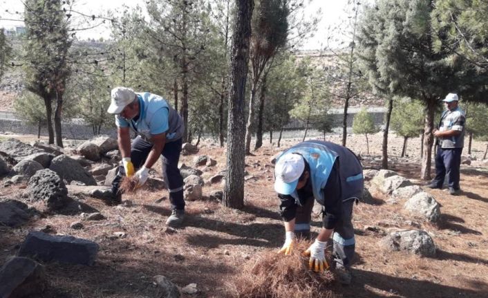 Belediye ekipleri yangınlara karşı ormanda temizlik yaptı