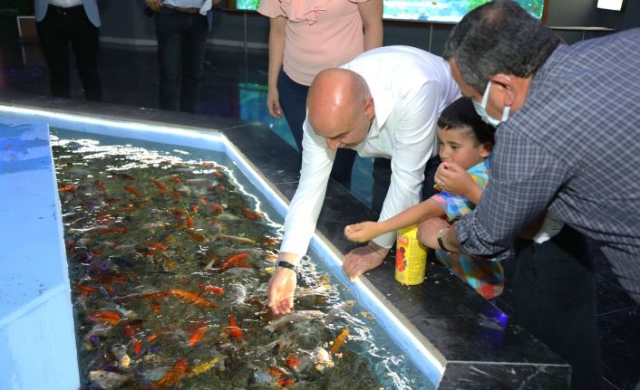 Biberonla beslenen Koi balıkları minik ziyaretçilerden yoğun ilgi görüyor