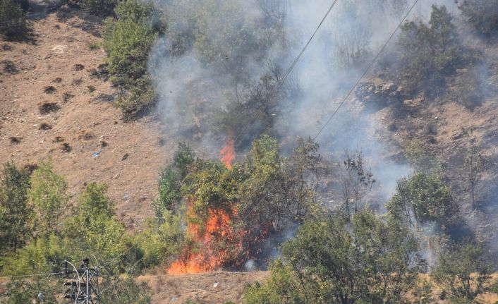 Bitlis’teki orman yangını rüzgarın etkisiyle büyüdü
