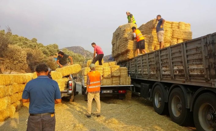 Bodrum Belediyesi yangın mağdurlarına destek olmaya devam ediyor