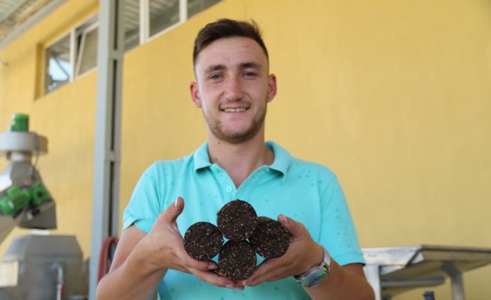 Bu kömür yandıktan sonra ne kül ne de toz bırakıyor