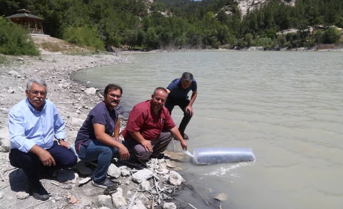 Çameli’nin doğal güzelliği Kolak Gölüne 10 bin yavru sazan balığı bırakıldı