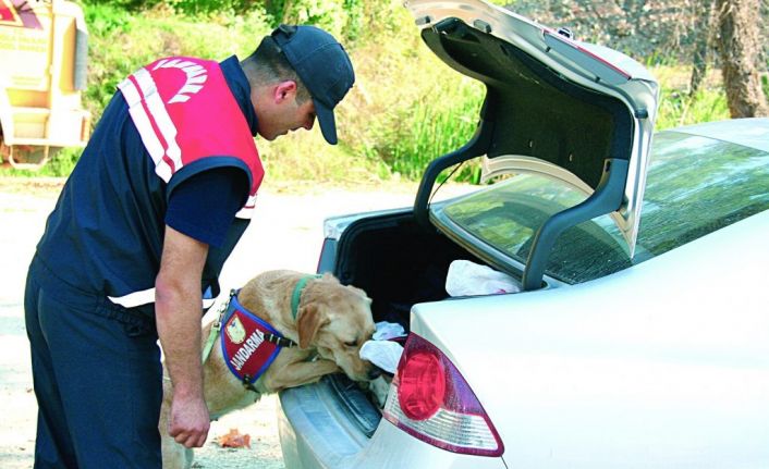 Çorum’da haklarında arama kararı bulunan 46 kişiyi yakaladı
