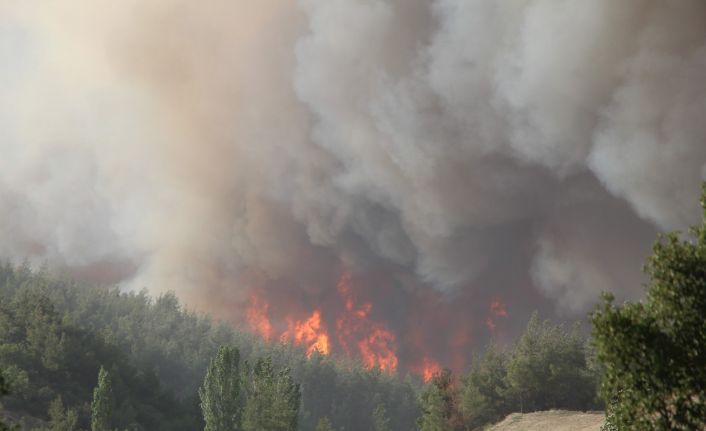 Denizli’deki 5 orman yangını tamamen söndürüldü