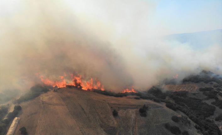 Doğal su kaynakları müdahale kadar yangınların önlenmesine de katkı sağlıyor