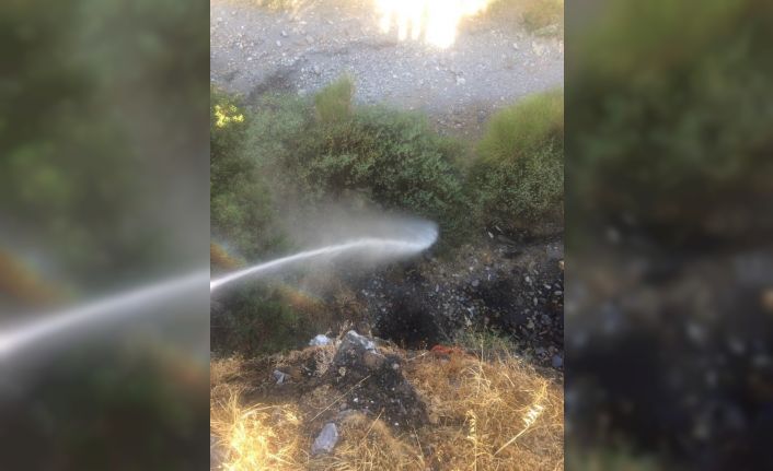 Doğanbey’deki yangın hızlı müdahale ile söndürüldü