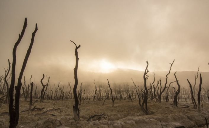 EGİAD Yönetim Kurulu Başkanı Yelkenbiçer: “İklim değişikliği insanlık için kırmızı alarm”