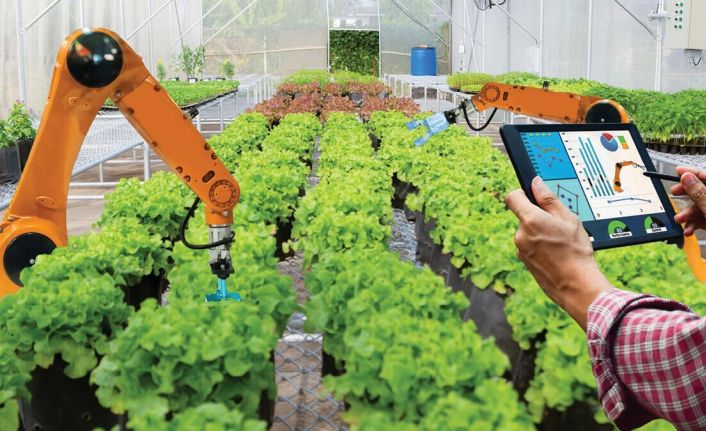 EGİAD Yönetim Kurulu Başkanı Yelkenbiçer: “Tarıma katkı sağlamak hepimizin bu ülkeye borcudur”