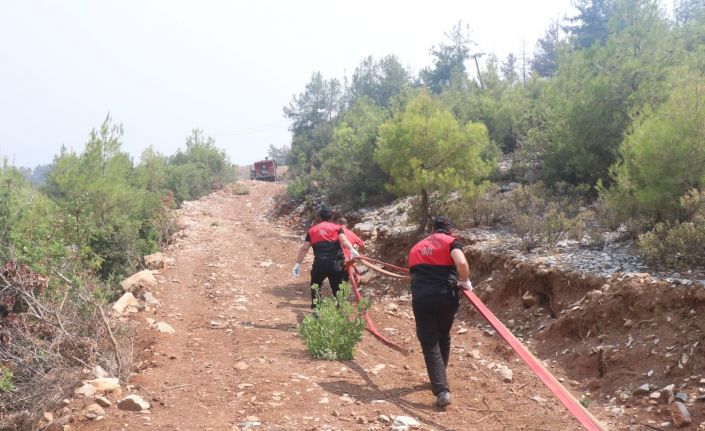 Emniyet Genel Müdürlüğü birlikleri orman yangınlarıyla mücadelede ekiplere destek veriyor