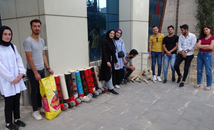 Eski su borularından sokak hayvanları için su ve mama kapları yaptılar