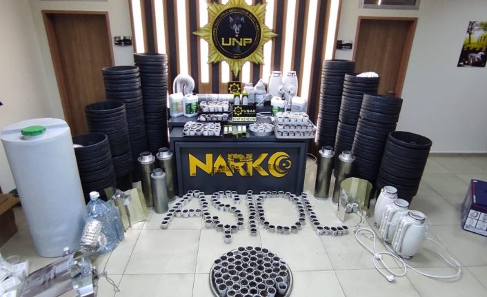 Evin bodrumunda 589 kök kenevir yetiştirdi