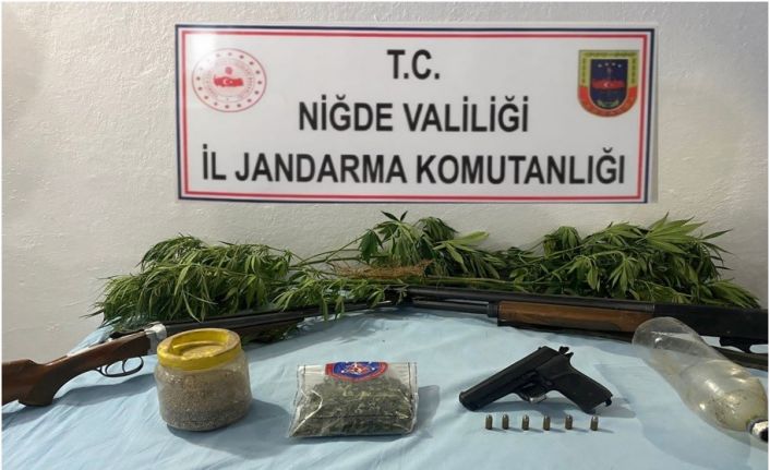 Evinde kenevir yetiştiren 1 kişi yakalandı