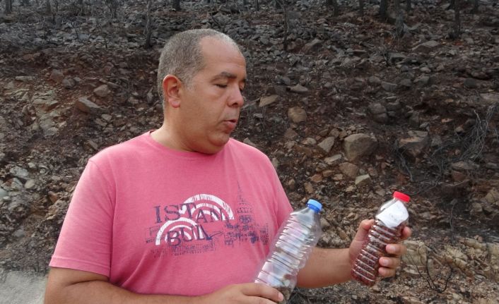 Gözü gibi bakarak biriktirdiği 4 bin ağaç tohumunu yanan ormanlar için paylaşmak istiyor