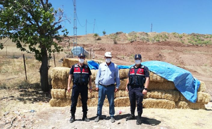 Hırsızlar şimdide çiftçinin samanına göz dikti: Jandarma PTS’den tespit etti, hırsızı yakaladı