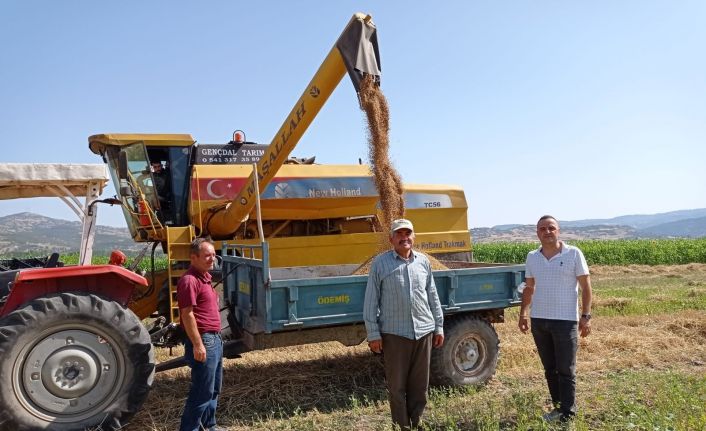 Hububatta biçerdöver kontrolü