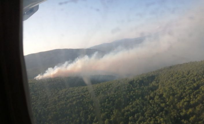 İzmir’de orman yangını: Havadan ve karadan müdahale ediliyor
