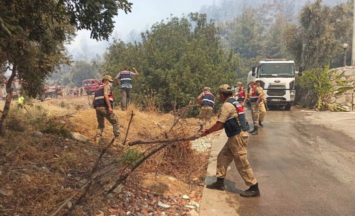 Jandarma Genel Komutanlığı 2 bin 310 personeliyle yangınla mücadele ediyor