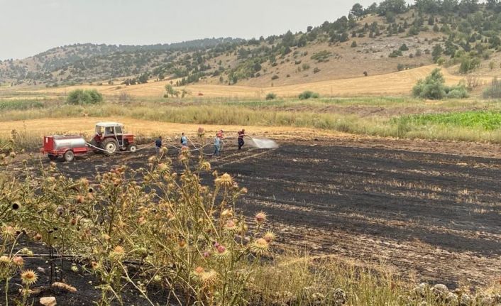 Jandarma ve köylüler yangını 500 dekarlık buğday ekili alana sıçramadan söndürdü