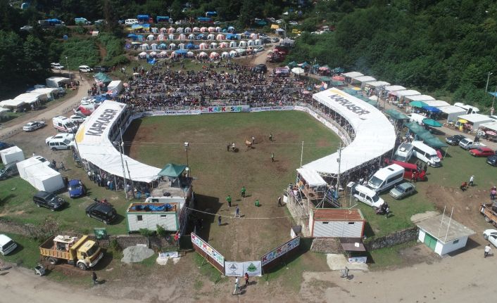 Kafkasör boğa güreşleri renkli görüntülere sahne oldu