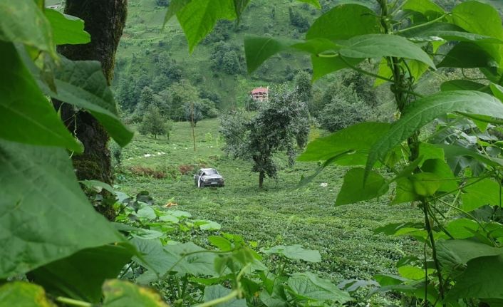 Kamyonet çay bahçesine yuvarlandı, 150 metre yuvarlanan araçtakilerin burnu bile kanamadı