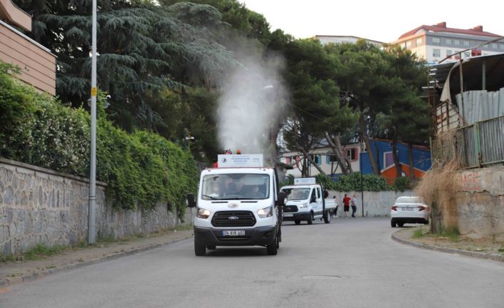 Kartal’da her gün 7 mahalle, sivrisinek ve haşerelere karşı ilaçlanıyor
