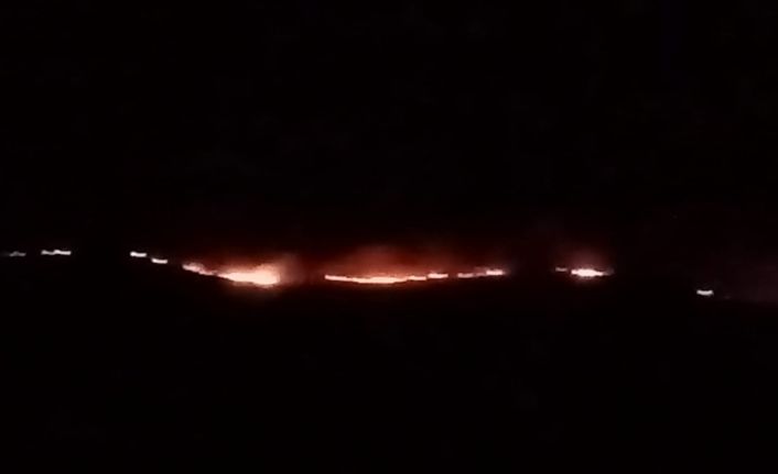 Kayseri’de makilik alanda yangın