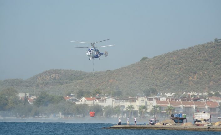 Kazdağları yangını söndürmek için deniz sortisi yapıyorlar