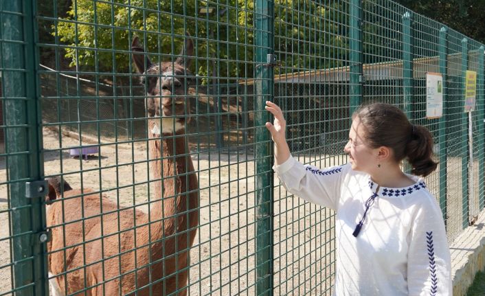 Keçiören’deki Doğal Yaşam Parkı’nda bulunan kuş evi ilgi odağı oluyor