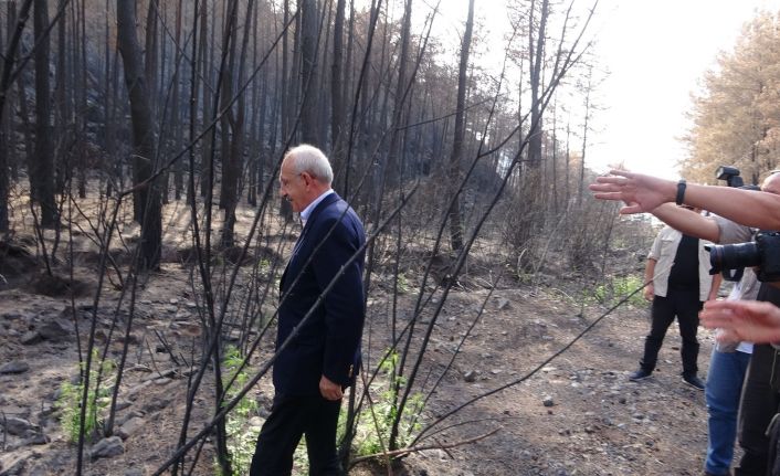 Kılıçdaroğlu Marmaris’te evleri yanan aileyi ziyaret etti, yeşillenen bir ağacın fotoğrafını çekti