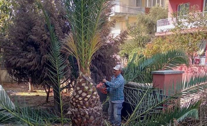 Köşk Belediyesi okulları yüz yüze eğitime hazırlıyor