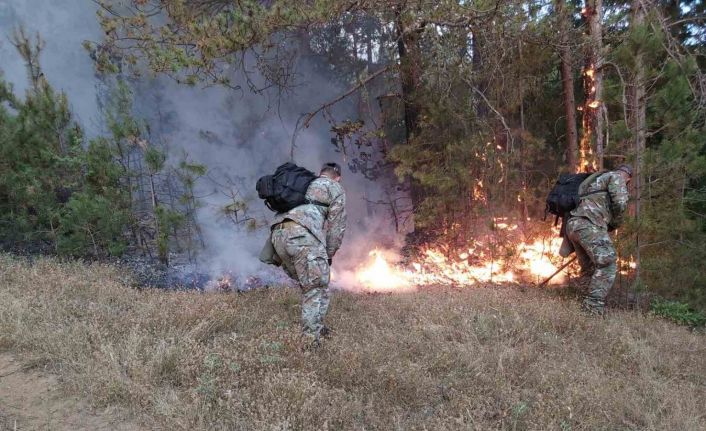 Kuzey Makedonya’da orman yangınlarına müdahale için ordu seferber oldu