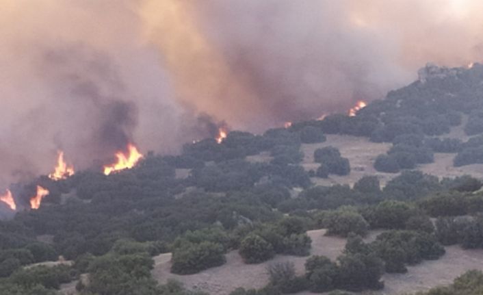 Manisa Büyükşehir Belediyesi ve MASKİ, Denizli’deki orman yangınına müdahalede bulundu