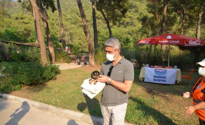 Marmaris Belediyesi Geçici Hayvan Bakımevi yangından etkilenen hayvanlara en güvenli alan oldu