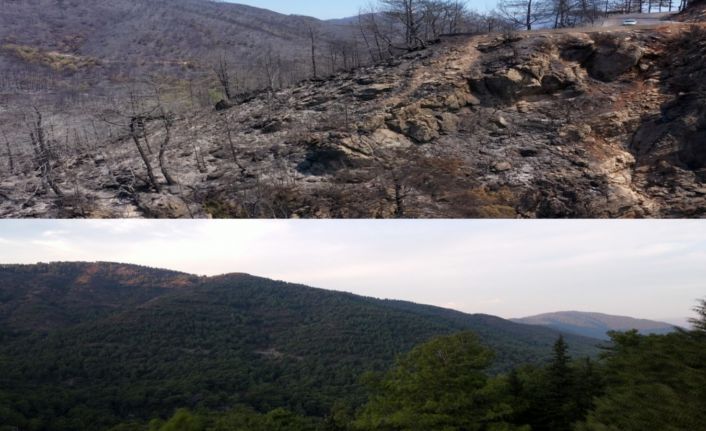 Marmaris’in yangın öncesi ve sonrası havadan görüntüleri, felaketin boyutunu gözler önüne serdi