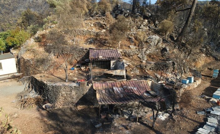 Marmaris’te yangından geriye kalanlar: Yeşilliklerin içindeki Osmaniye’de 30 ev küle döndü