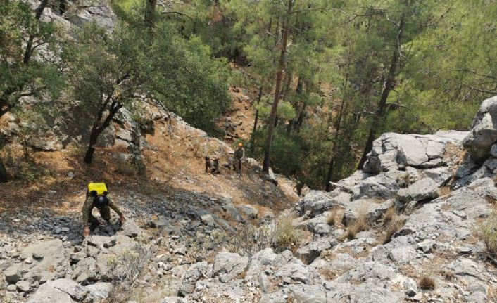 Mehmetçik, Isparta Valiliği’nin talebi üzerine Eğirdir’deki yangın soğutma çalışmalarına destek oluyor