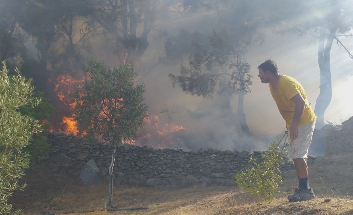 Milas’ta başlayan orman yangını Bodrum’a sıçradı, söndürme çalışmaları devam ediyor