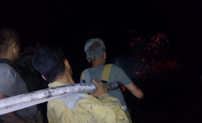 MSB: “Mehmetçik, arazöz ve iş makinaları ile bölgede devam eden yangın söndürme çalışmalarını aralıksız sürdürüyor"