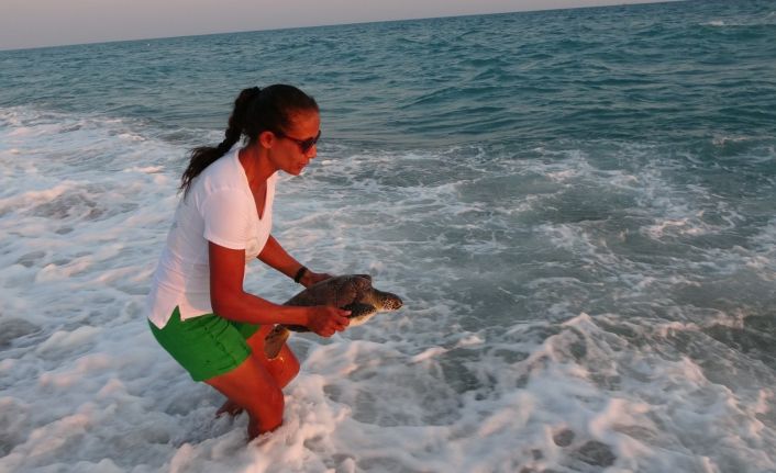Önceki gün ölen caretta başında ağlamıştı, bugün hayata tutunan caretta başında sevinçten ağladı